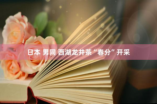 日本 男同 西湖龙井茶“春分”开采