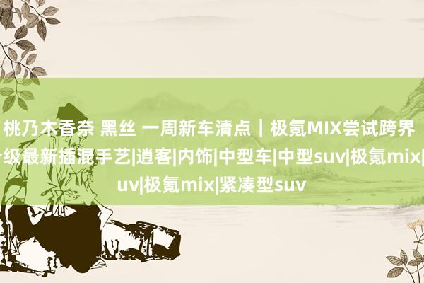 桃乃木香奈 黑丝 一周新车清点｜极氪MIX尝试跨界 比亚迪唐升级最新插混手艺|逍客|内饰|中型车|中