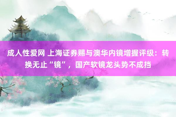 成人性爱网 上海证券赐与澳华内镜增握评级：转换无止“镜”，国产软镜龙头势不成挡