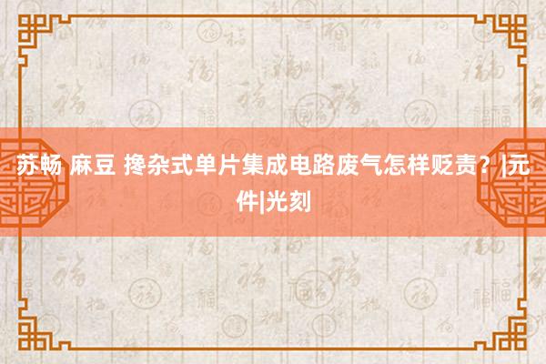 苏畅 麻豆 搀杂式单片集成电路废气怎样贬责？|元件|光刻