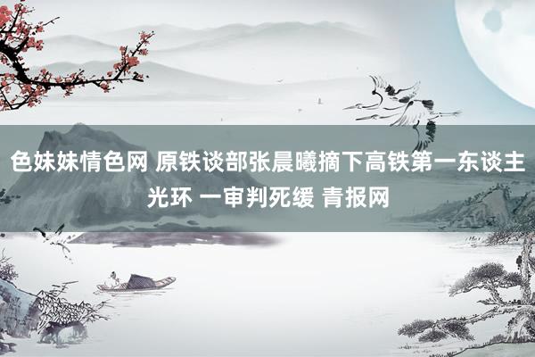 色妹妹情色网 原铁谈部张晨曦摘下高铁第一东谈主光环 一审判死缓 青报网
