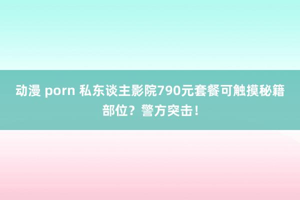 动漫 porn 私东谈主影院790元套餐可触摸秘籍部位？警方突击！
