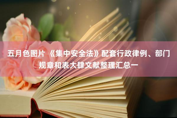 五月色图片 《集中安全法》配套行政律例、部门规章和表大肆文献整理汇总一