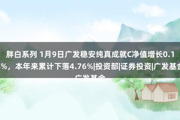 胖白系列 1月9日广发稳安纯真成就C净值增长0.14%，本年来累计下落4.76%|投资部|证券投资|广发基金