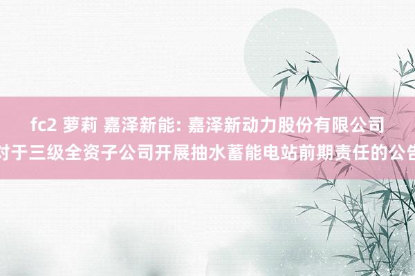 fc2 萝莉 嘉泽新能: 嘉泽新动力股份有限公司对于三级全资子公司开展抽水蓄能电站前期责任的公告