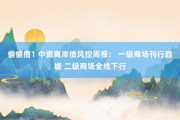 偷偷撸1 中资离岸债风控周报： 一级商场刊行趋缓 二级商场全线下行