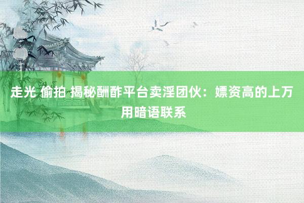 走光 偷拍 揭秘酬酢平台卖淫团伙：嫖资高的上万 用暗语联系