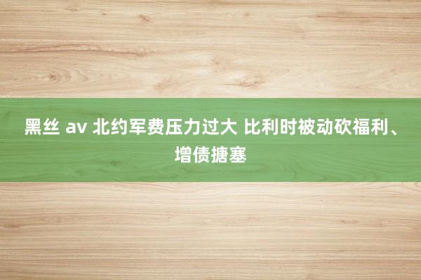 黑丝 av 北约军费压力过大 比利时被动砍福利、增债搪塞