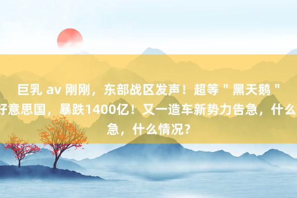 巨乳 av 刚刚，东部战区发声！超等＂黑天鹅＂直击好意思国，暴跌1400亿！又一造车新势力告急，什么情况？