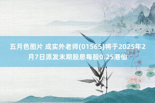五月色图片 成实外老师(01565)将于2025年2月7日派发末期股息每股0.25港仙