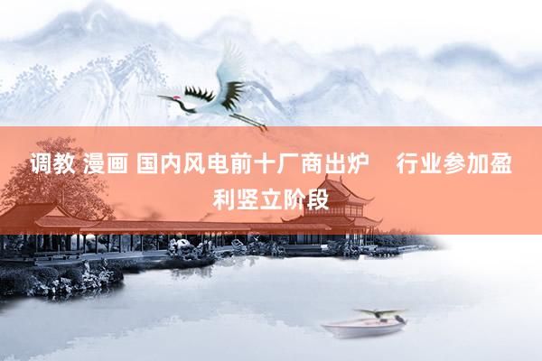调教 漫画 国内风电前十厂商出炉    行业参加盈利竖立阶段